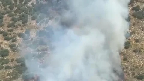 Demre’de orman yangını