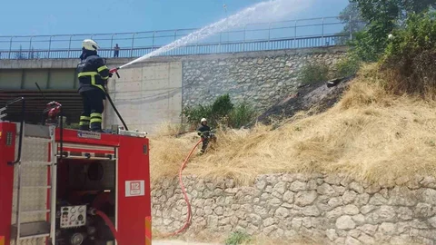 Bilecik'te Ağaçlık Alanda Yangın Çıktı