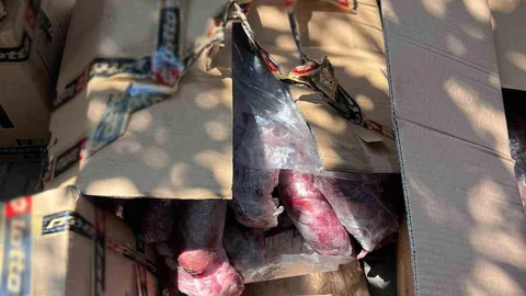 Halk sağlığını tehdit eden 300 kilogram et imha edildi