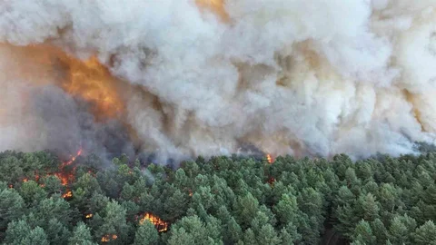 Fransa’daki orman yangını sürüyor: 3 bin dönümlük alan yandı, en az 2 kişi tutuklandı