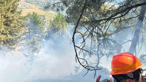 Saimbeyli’de çıkan orman yangını kontrol altına alındı