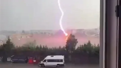 Tekirdağ’da palmiye ağacına yıldırım düştü, alev alev yandı