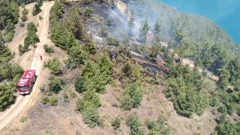 Kahramanmaraş'ta Orman Yangını Kontrol Altında