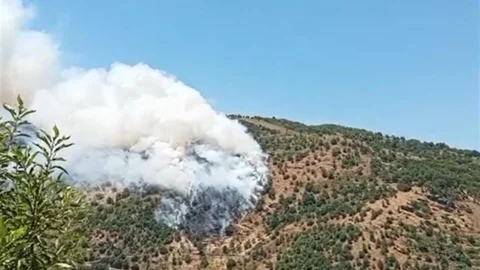 Sultanhisar'da Orman Yangını Çıktı