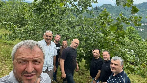 Trabzon'da Fındık Rekolte Tespiti Başladı