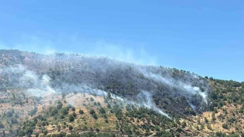 Sultanhisar'da Yangın Söndürme Çalışmaları Devam Ediyor