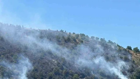 Sultanhisar'da Yangın Kontrol Altında