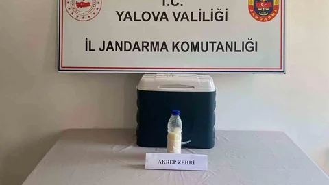 Yalova'da 5 Milyon Dolar Değerinde Akrep Zehri Ele Geçirildi