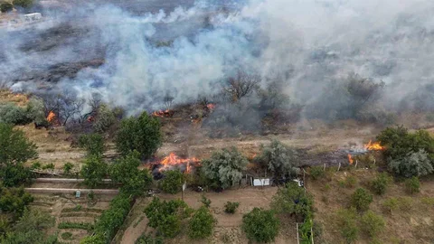 Konya'da Arazide Yangın Çıktı