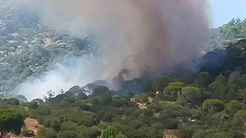 Muğla'da Orman Yangını Çıktı