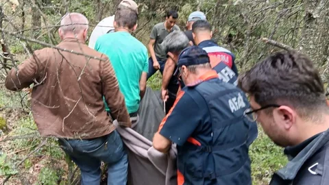 Kütahya'da Sarı Kantaron Toplama Felaketi