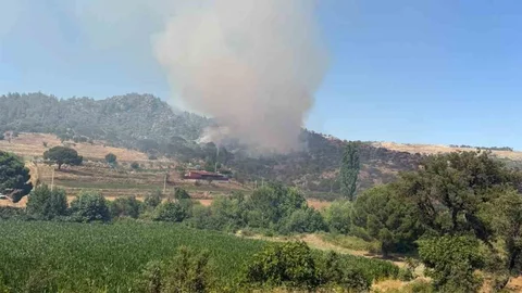 Muğla Kavaklıdere'de Orman Yangını Devam Ediyor