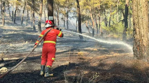 Muğla Ortaca'da Orman Yangını Çıktı