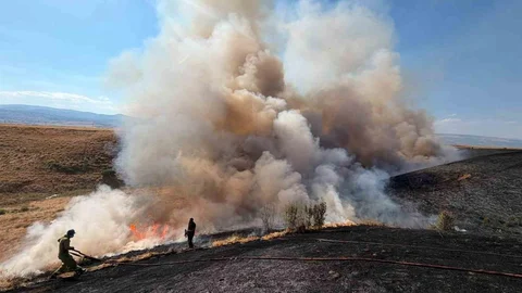 Bingöl'de Arazi Yangını Felaketi