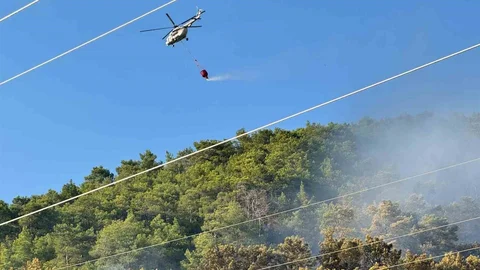 Muğla Ortaca'daki Orman Yangını Kontrol Altına Alındı