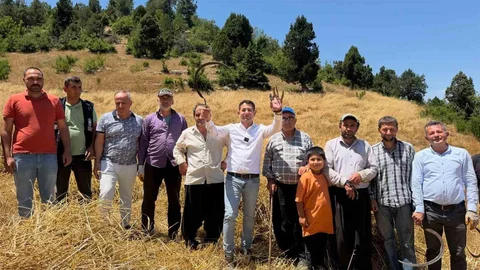 Adana'da İmece Usulü Hasat Yapılıyor