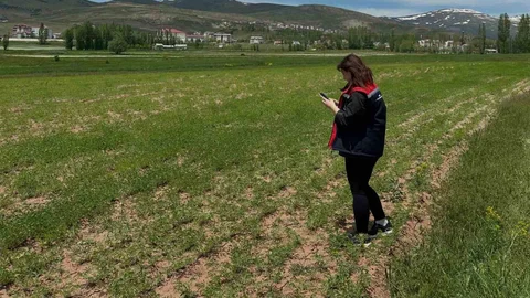 Aydıntepe'de Ürün Tespit Çalışmaları Devam Ediyor