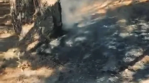 Kütahya'da Gölcük Mesire Alanı Yangını