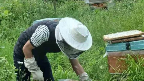 Sinop'ta Arıcılık Eğitimi Tamamlandı