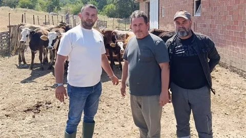Tunçbilek'te Hayvancılık İçin İlaçlama Yapıldı