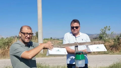 Aydın'da Pamuk Tarlalarına Tuzak Kuruldu