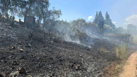 Serik'te Yol Kenarında Yangın Söndürüldü