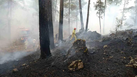 Muğla'da Yangın Uyarısı Yapıldı