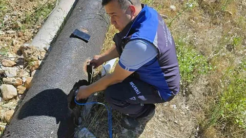 Muğla'da Su Tasarrufu Çalışmaları