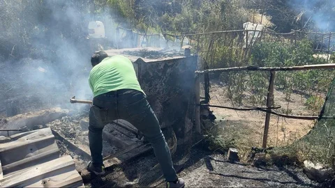 Kütahya'da Yangın 11 Güvercini Telef Etti