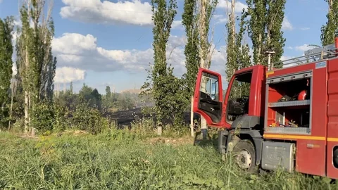 Çorum'da Orman Yangını Çıktı