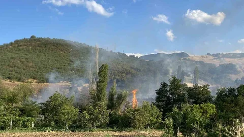Çorum'daki Orman Yangını Kontrol Altına Alındı