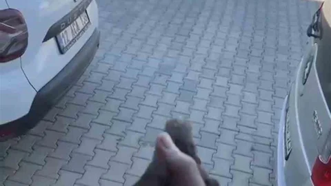 Bingöl'de Sığırcık Kuşu Kurtarıldı