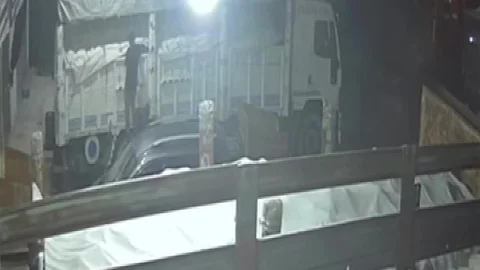Adana'da Karpuz ve Kavun Hırsızlığı
