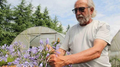 Giresun'da Çiçek Yetiştiriciliği Gelişiyor