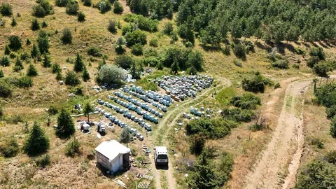 Yozgat'ın Zengin Bitki Örtüsü Arıcılara Umut Oluyor