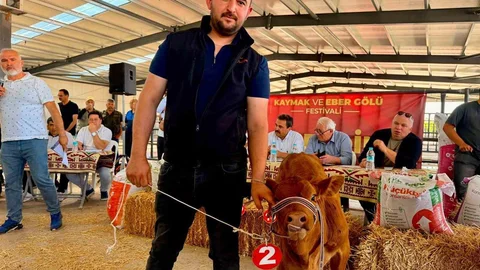 Yılın Buzağısı Bolvadin'de Seçildi