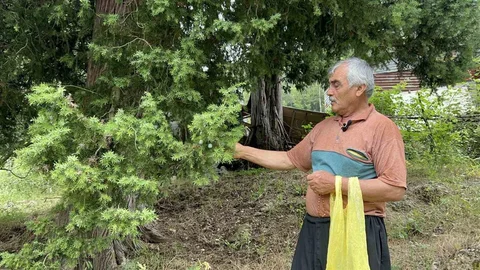 Osmaniye'de Andız Çekirdekleriyle Tespih Yapıyor