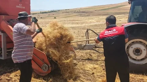 Elazığ'da Mercimek Tohum Kontrolleri