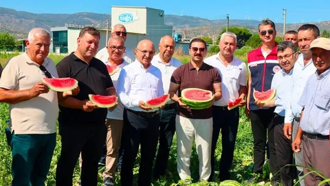 Cincin Karpuzunda İlk Hasat Coşkusu