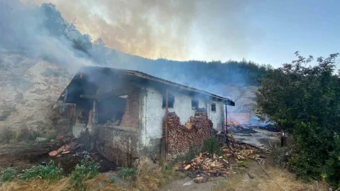 Kastamonu'da Yangın Ormana Sıçradı