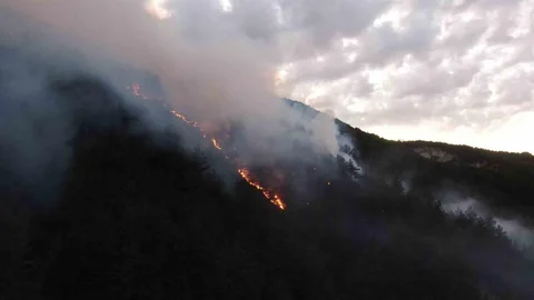 Kastamonu'da Orman Yangını Devam Ediyor