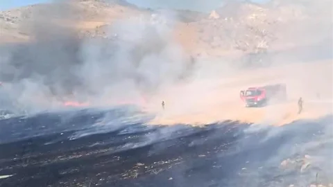 Nallıhan’da otluk alanda çıkan yangın söndürüldü