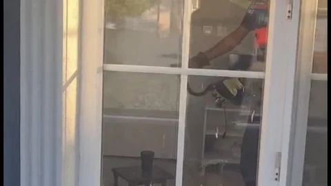 Düzce'de Yılan Kurtarma Operasyonu
