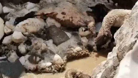 Yüksekova'da Kar Kütlesi Çöktü