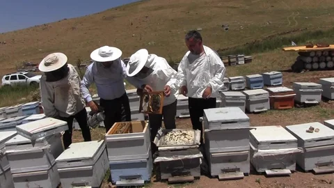 Herekol Dağı'nda Bal Üretimi Sezonu Başladı