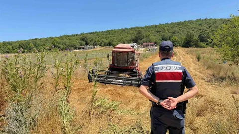 Bilecik'te Biçerdöver Cezası Uygulandı
