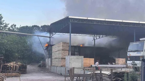 Bilecik'te Kereste İşletmesinde Yangın