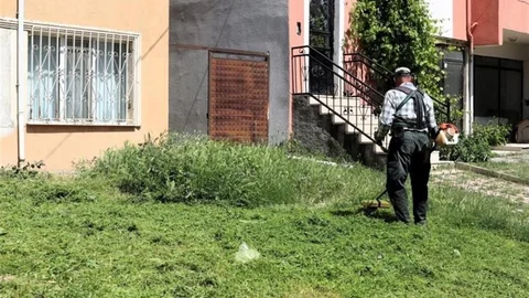 Söğüt'te Çim Biçme ve İlaçlama Devam Ediyor