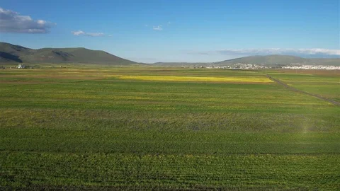 Ardahan Ovası Yaz Renkleriyle Büyülüyor