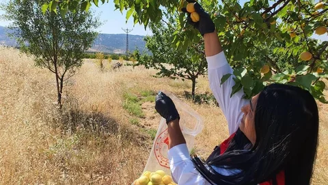 Elazığ'da Pestisit Denetimleri Yapıldı
